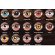 ColourVUE Crazy Lens One Day Έγχρωμοι Ημερήσιοι 2τμχ - COLORVUE VISION